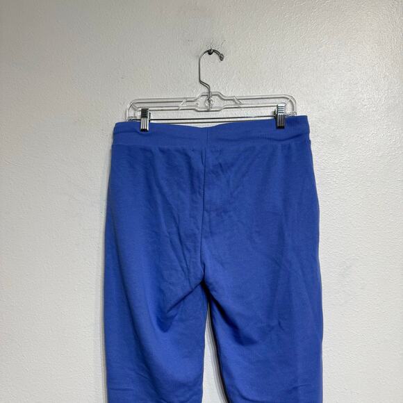 Wildfox Wedgewood Blue Blanket Stitch Parker Joggers Sz L NWT - Picture 10 of 14